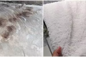 Bukan pakai cuka, ini cara bersihkan karpet buluk jadi putih kinclong dengan 1 tambahan penguat rasa