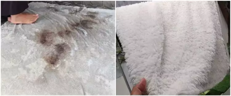 Bukan pakai cuka, ini cara bersihkan karpet buluk jadi putih kinclong dengan 1 tambahan penguat rasa