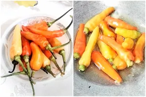 Tanpa perlu dibelah atau ditusuk, ini trik menggoreng cabai agar tak meletus saat terkena minyak panas