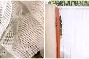 Tanpa perlu disikat, cara cuci gorden buluk gunakan 2 bahan dapur ini bikin kotoran auto minggat