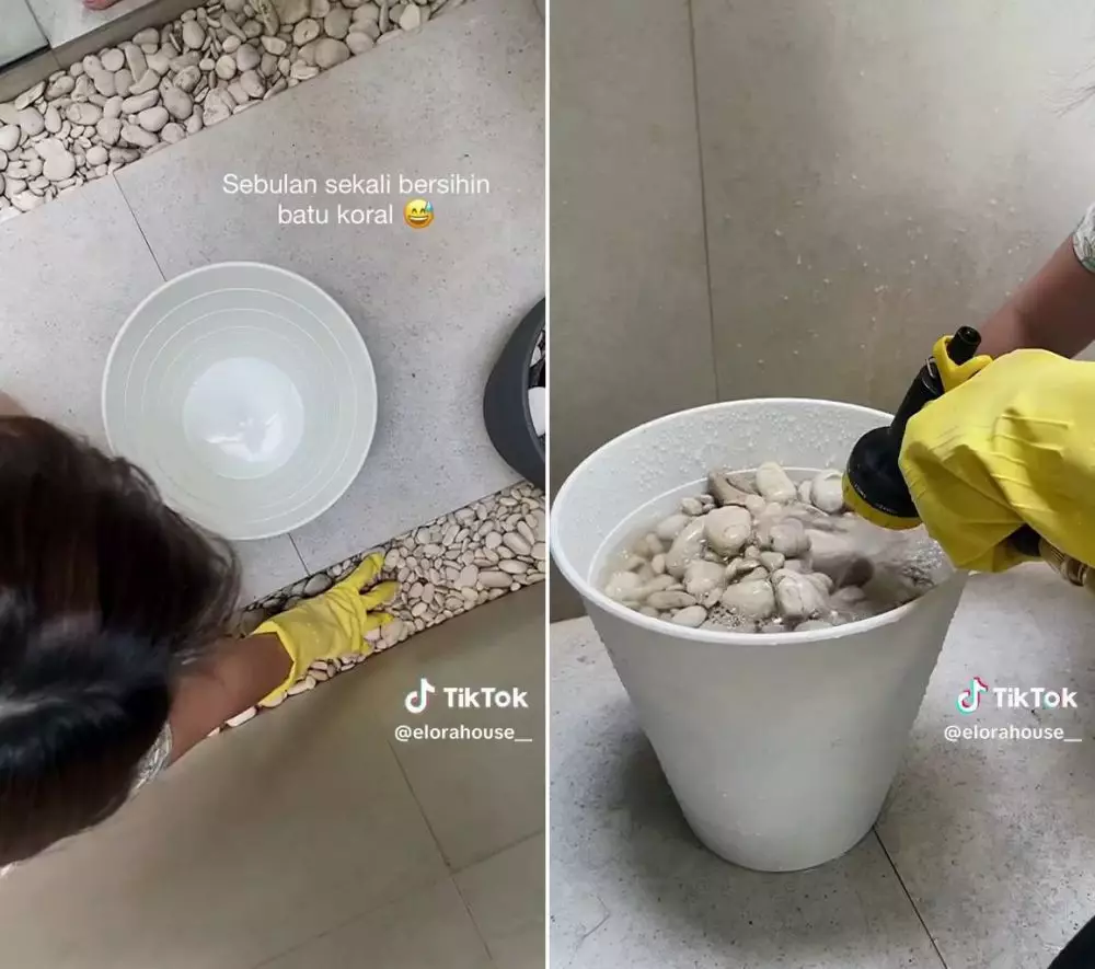 cara bersihkan batu koral © TikTok