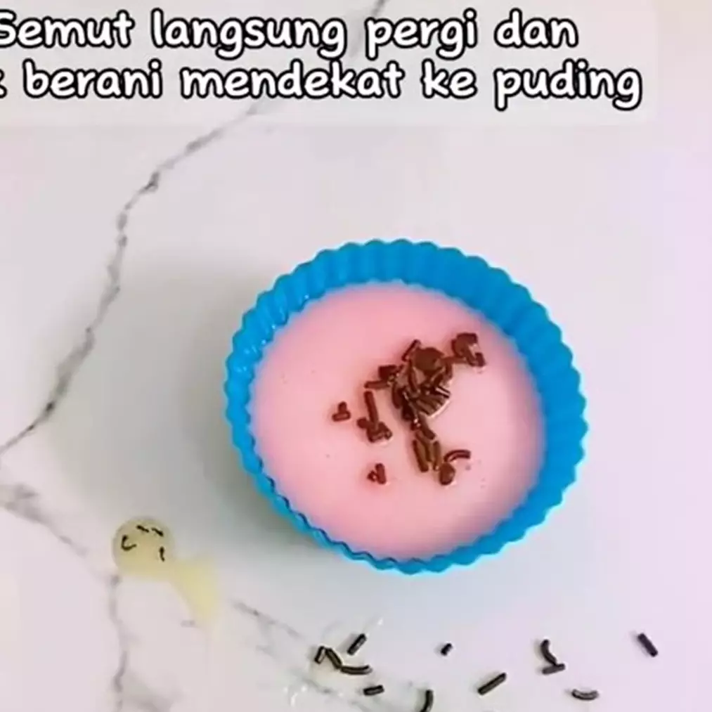 Tak perlu pakai cairan kimia, ini trik mudah usir semut cuma andalkan 1 jenis minyak