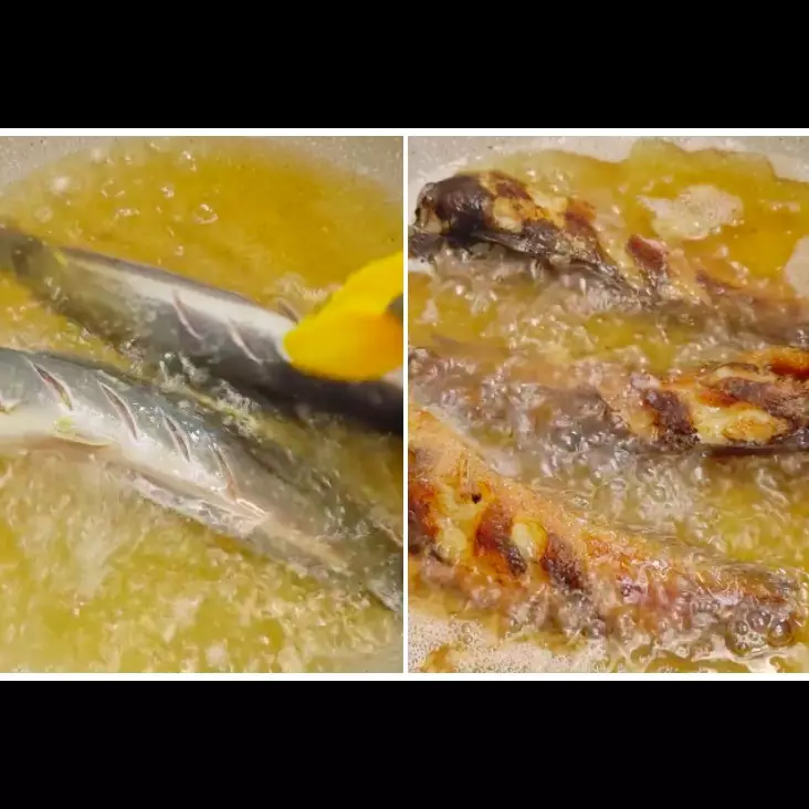 Tanpa baking powder, ini cara bikin lele krispi garing dan renyah tahan lama cuma tambah 1 bahan dapur