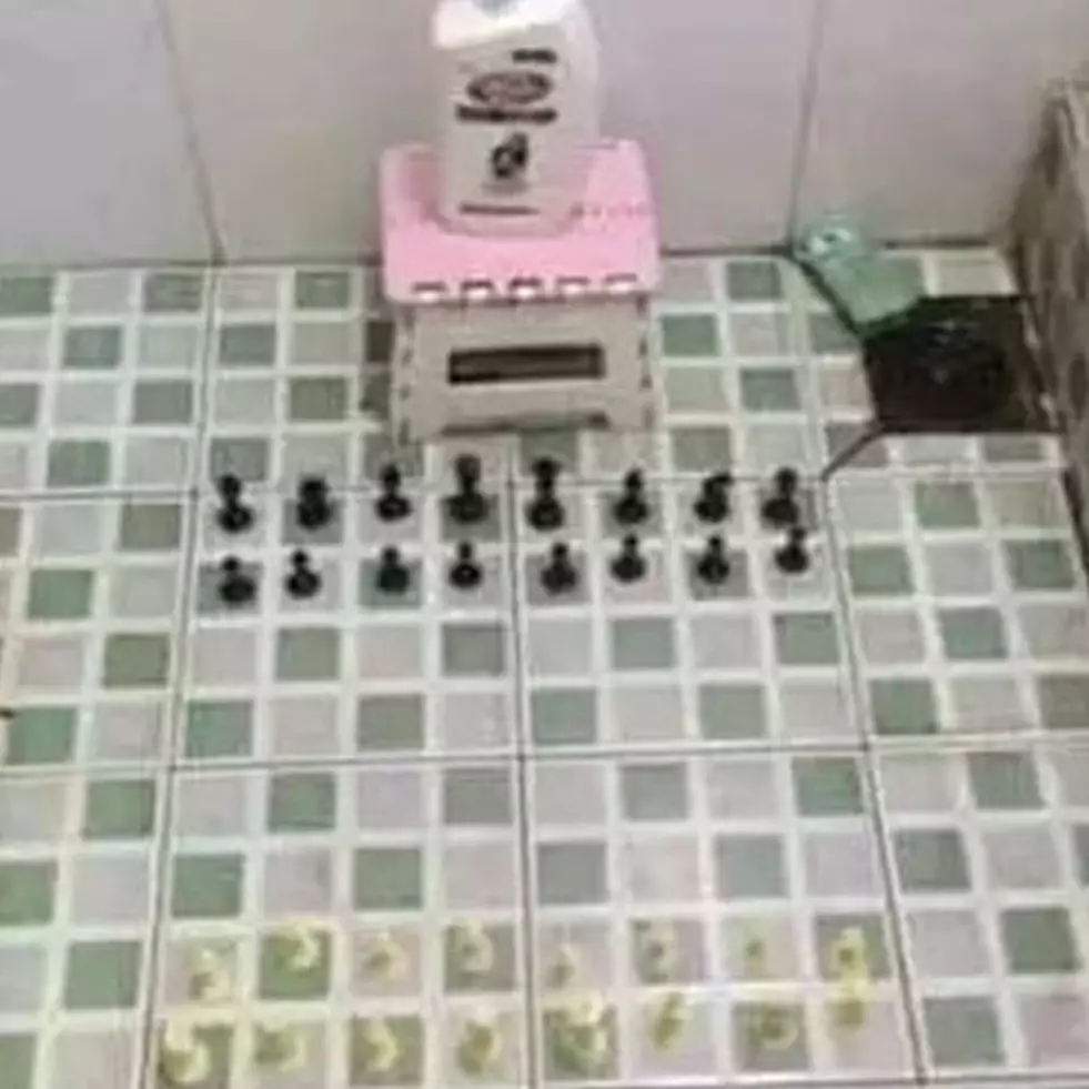 13 Potret kocak di toilet ini malah jadi ruangan multifungsi, penampakannya bikin gagal paham