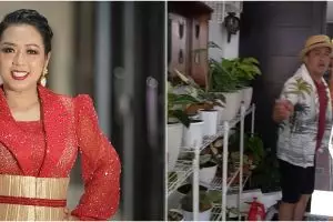 Penampakan rumah 'hutan' Soimah di Jakarta, ada kebun dengan koleksi tanaman seratusan juta