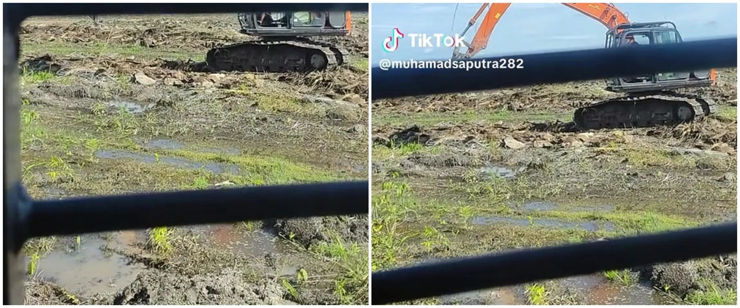 Lagi fokus ngurug tanah tukang ini malah temukan hewan di luar dugaan, bikin merinding