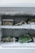 Bukan pakai kipas angin atau air hangat, bunga es freezer menumpuk bisa dibersihkan pakai bumbu dapur