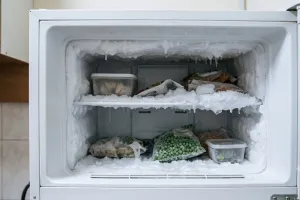 Bukan pakai kipas angin atau air hangat, bunga es freezer menumpuk bisa dibersihkan pakai bumbu dapur