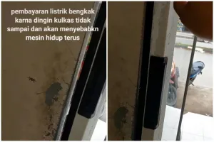 Cara mengatasi karet kulkas longgar agar kembali rapat dan lentur cuma pakai 1 alat sederhana
