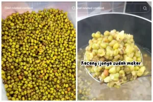 Empuk dalam 12 menit, ini trik merebus kacang hijau agar merekah meski tanpa direndam semalaman