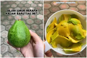 Bukan diperam beras, ini cara ampuh mematangkan buah alpukat yang keras cuma pakai 1 alat sederhana
