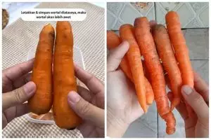Tak perlu direndam air, ini trik menyimpan wortel agar awet berminggu-minggu pakai 1 ampas dapur