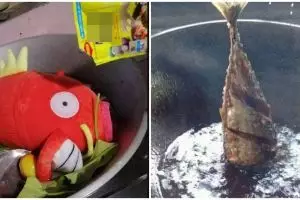11 Potret kocak masak ikan di panci ini bikin emak-emak senyum pasrah