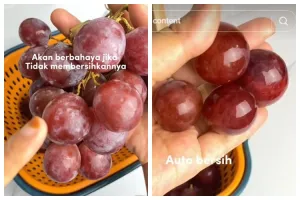 Tak perlu baking soda dan cuka, begini cara bersihkan lapisan lilin anggur pakai 2 bahan dapur