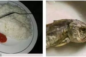 Bukan tingkatkan nafsu makan, 11 potret kocak sajian olahan ikan ini malah bikin ngamuk