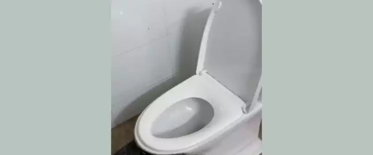 Toilet dilengkapi jamban nyeleneh ini jatuhnya bikin bingung yang mau buang hajat, absurd pol