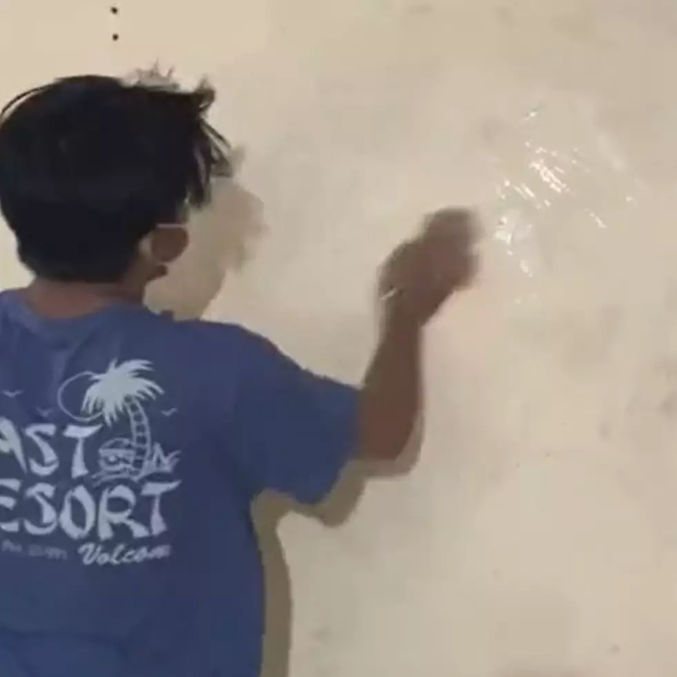 Tak perlu dibongkar, ini trik hilangkan jamur pada tembok pakai tambahan 1 bahan dapur