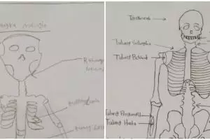 Disuruh gambar rangka manusia, 7 hasil karya murid kelas 5 SD ini kreatif bin nyeleneh