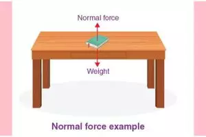 Rumus gaya normal, pahami pengertian, contoh soal dan cara mengerjakannya