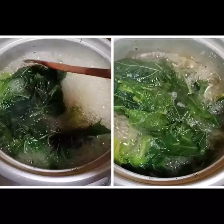 Tanpa tanah liat atau asam jawa, ini trik hilangkan rasa pahit daun pepaya cukup pakai 2 bahan dapur