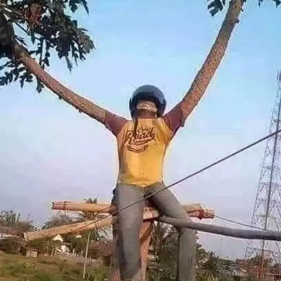 11 Potret penampakan benda di pohon ini perlu dilihat lebih jeli, endingnya bikin tepuk jidat