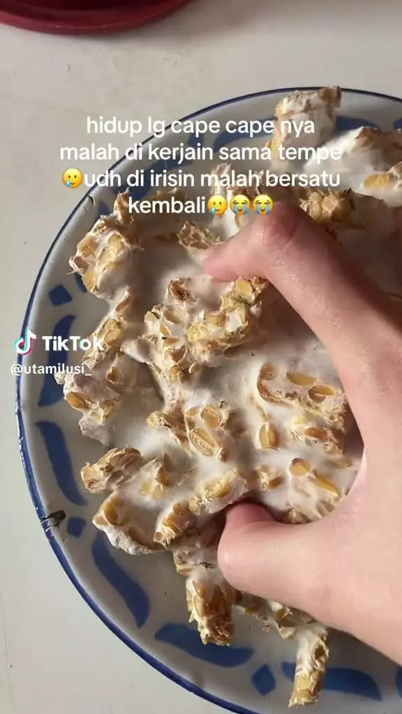 Cewek capek potong tempe © TikTok