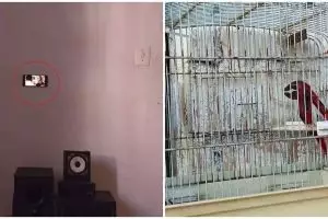 11 Potret kocak kelakuan orang gabut ini bikin dahi mengernyit, endingnya geleng kepala