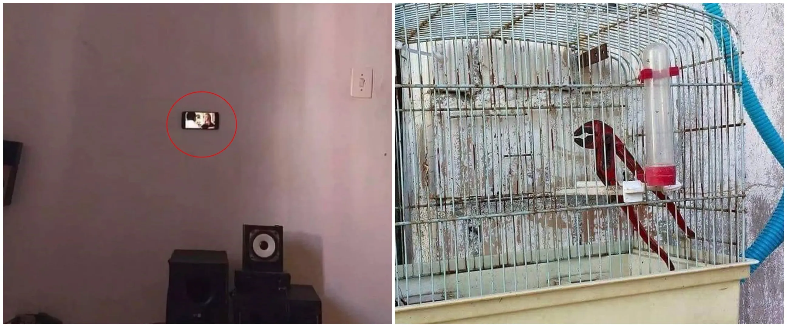 11 Potret kocak kelakuan orang gabut ini bikin dahi mengernyit, endingnya geleng kepala