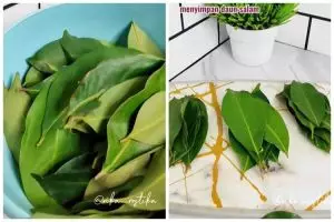 Tak perlu dijemur dulu, ini cara menyimpan daun salam tak menghitam dan tetap wangi hingga 2 minggu
