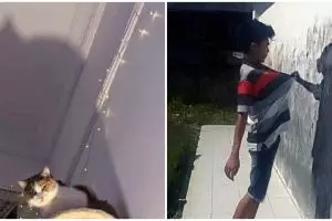 11 Potret kocak bayangan beda dari bentuk aslinya ini bikin gagal paham, kok bisa ya?