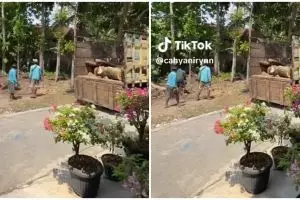 Berasa kondangan di Disneyland, 11 potret dekorasi pernikahan di kebun rumah kampung ini bikin takjub