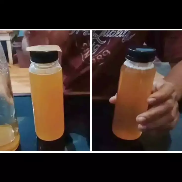 Cara mudah membedakan madu asli dan palsu tanpa perlu dicampur air atau dipanaskan