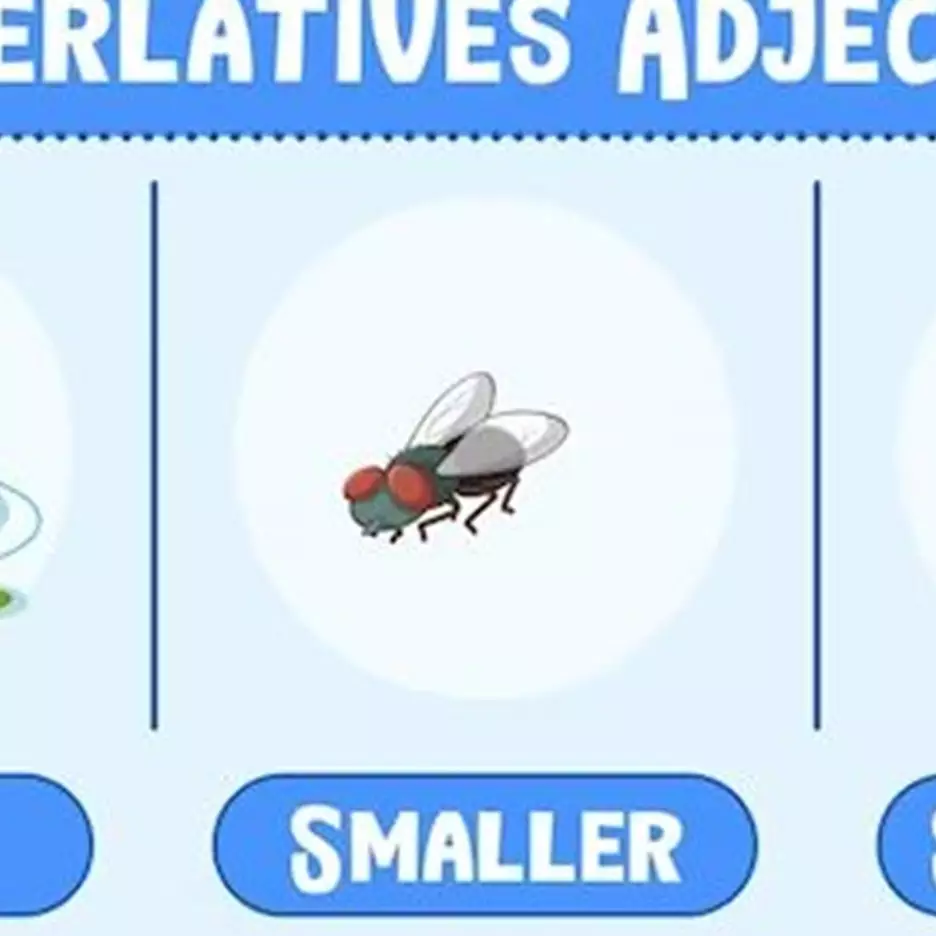 20 Contoh kalimat superlative degree 2 suku kata bahasa Inggris, lengkap dengan penjelasannya