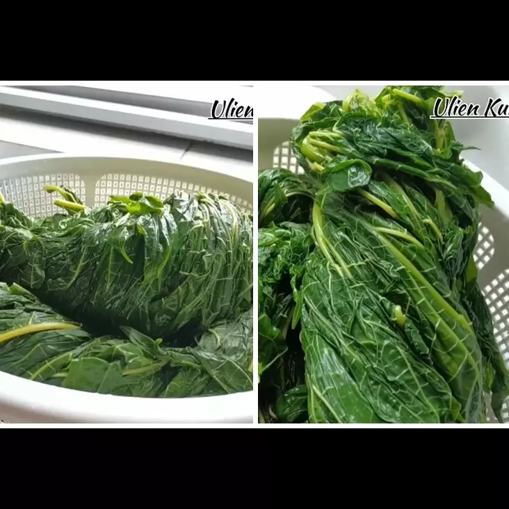 Ampuh tanpa tanah liat dan daun jambu biji, ini trik hilangkan rasa pahit daun pepaya pakai 1 bahan