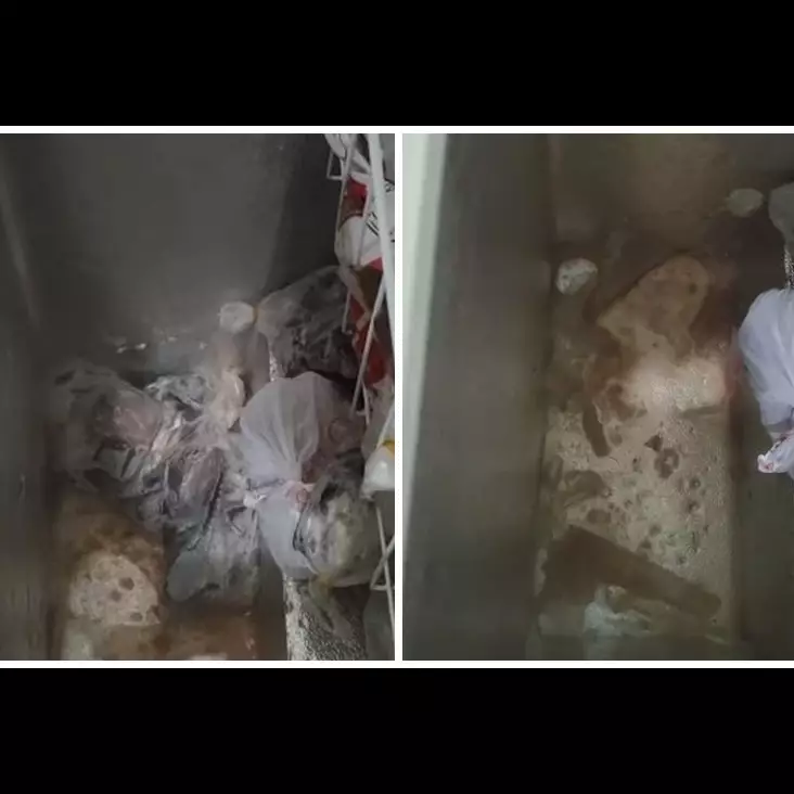 Tanpa disiram air panas, ini trik cepat mencairkan daging beku di freezer dalam waktu 10 menit