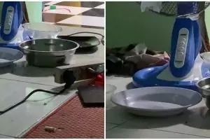 Trik bikin kipas jadi adem saat cuaca lagi panas-panasnya ini nyeleneh tapi menarik ditiru