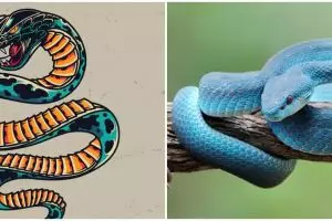 35 Arti mimpi digigit ular, bisa jadi pertanda baik dan buruk dalam hidup