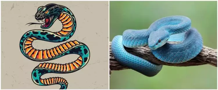 35 Arti mimpi digigit ular, bisa jadi pertanda baik dan buruk dalam hidup