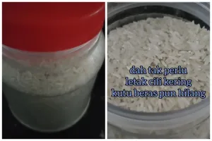 Tak perlu bahan tambahan, ini trik menyimpan beras agar bebas kutu dan tak bau apek