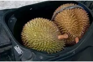 11 Potret kocak isi jok motor ini tak terduga, dari mangkok isi nasi sampai ikan
