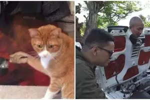 Jangan sampai terkecoh, 11 potret kocak penampakan nyeleneh ini bikin gagal paham