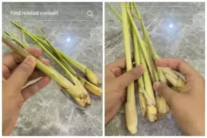 Bukan dibekukan di freezer, ini trik menyimpan serai agar awet wangi dan tak kering hingga 1 bulan