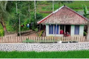 Dikelilingi sawah, 9 potret rumah sederhana ini punya pemandangan yang bikin ketagihan