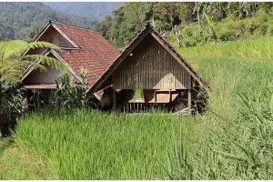 Tak bisa dipandang sebelah mata, 9 potret rumah bambu di kampung ini toiletnya bikin gagal fokus