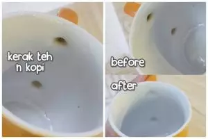 Bukan sitrun atau cuka, ini trik bersihkan kerak kopi dan teh di gelas cukup pakai 2 bahan sederhana