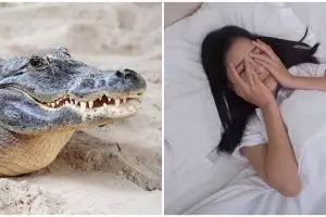 15 Arti mimpi dikejar buaya bagi perempuan menurut Islam, menyimpan makna untuk waspada