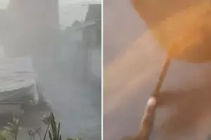 Momen wanita curhat rumahnya terkena racun tanaman karena ulah tetangga, endingnya bikin geram