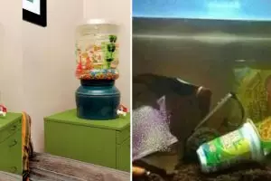 15 Potret kocak desain nyeleneh akuarium ini bikin geleng kepala, idenya dapat darimana sih?