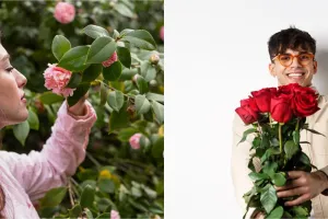 Makna bunga mawar berdasarkan warnanya, menggambarkan isi hati kamu