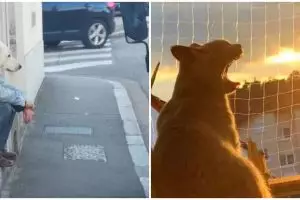 11 Potret kocak kebetulan dijepret dari samping ini perlu lihat dua kali baru paham